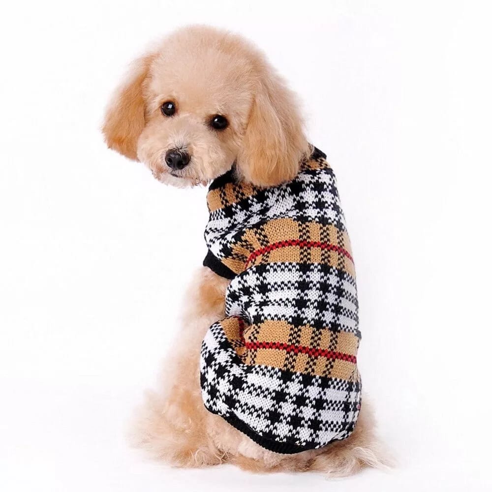 Вязаная одежда » Dogland - Одежда для Собак